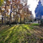 jardin bois